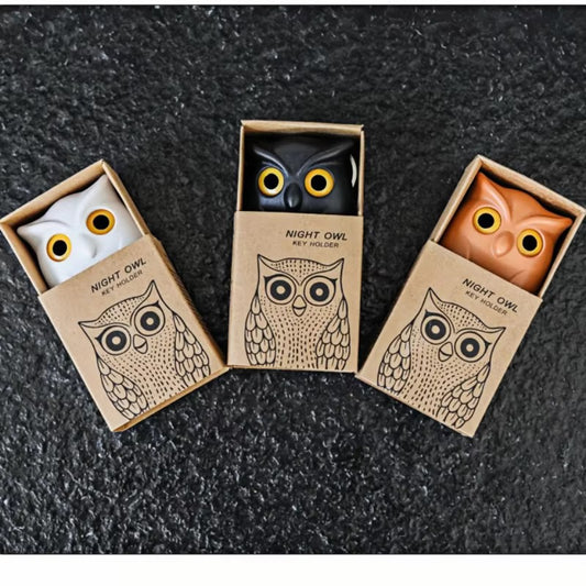 Owl Magnetic Key Holder – Cute Wall Hook for Entryway & Home Decor