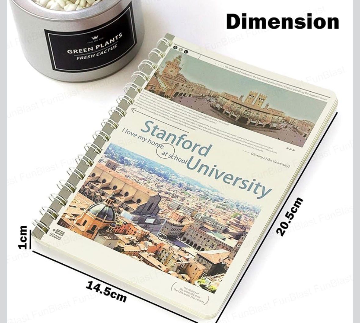 University Aesthetic Spiral Notebook