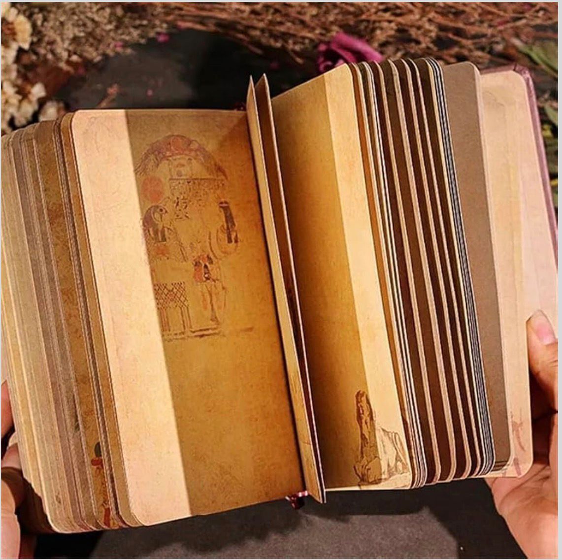 Ancient Egypt Journal | Notebook