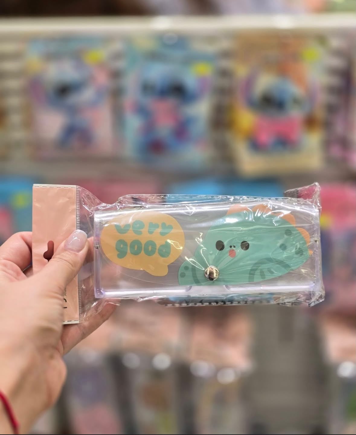 Kawaii Transparent Glasses Case – Cute Character Mix Design - Pack of 2